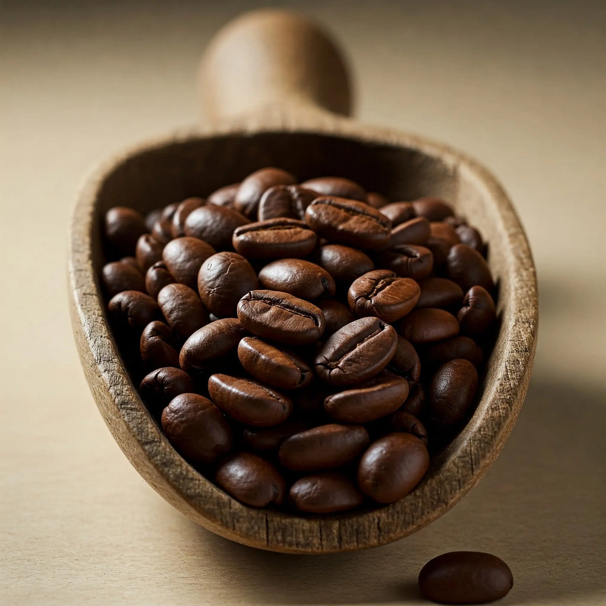 Dark Roast image 2